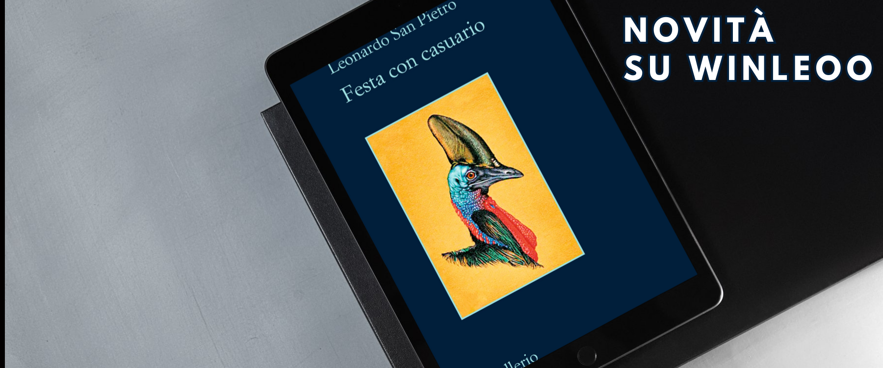 Slider Winleoo - Fantasy